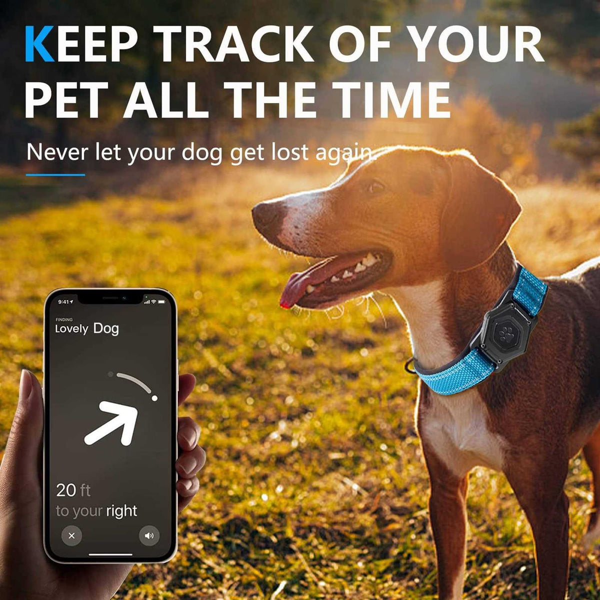 Adjustable Reflective Dog Collar with AirTag Holder U329